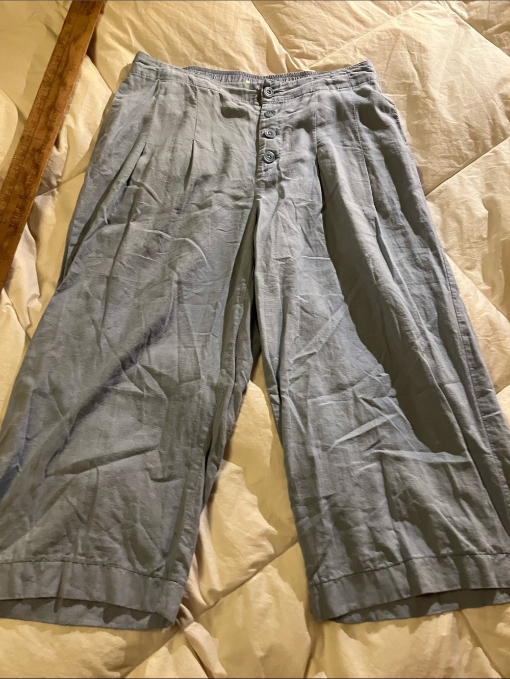 Linen rayon cropped pleated pants from Sincerely Jules Large